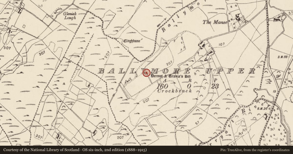 Ordnance Survey six-inch map, 2nd edition (1888–1915) covering the location of Megalithic tomb - court tomb, Ballymore Upper, County Donegal, with a pin at the register's coordinates
