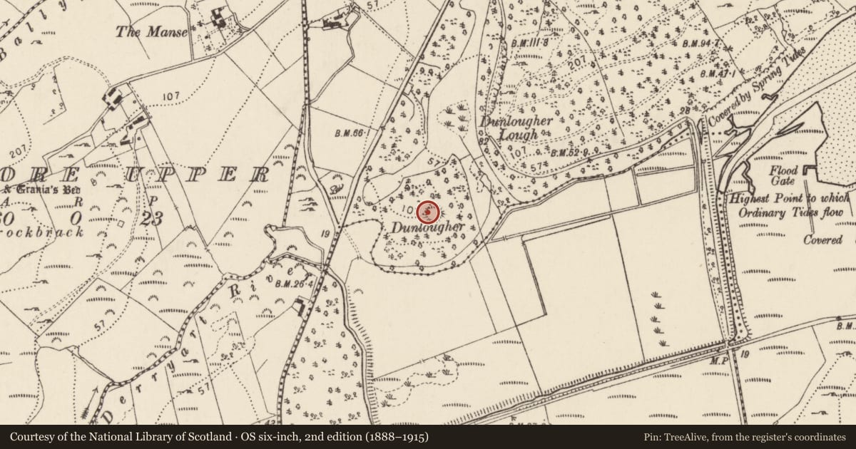 Ordnance Survey six-inch map, 2nd edition (1888–1915) covering the location of Ringfort - cashel, Ballymore Lower, County Donegal, with a pin at the register's coordinates