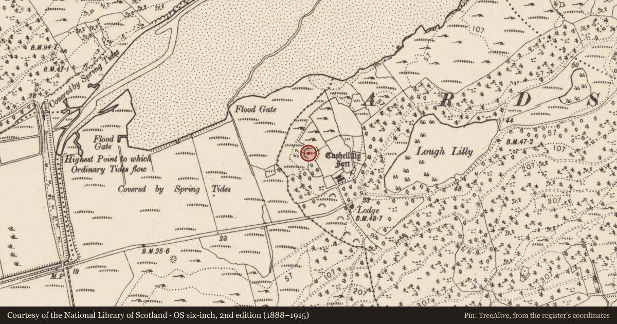 Ordnance Survey six-inch map, 2nd edition (1888–1915) covering the location of Ringfort - cashel, Aghalattive, County Donegal, with a pin at the register's coordinates