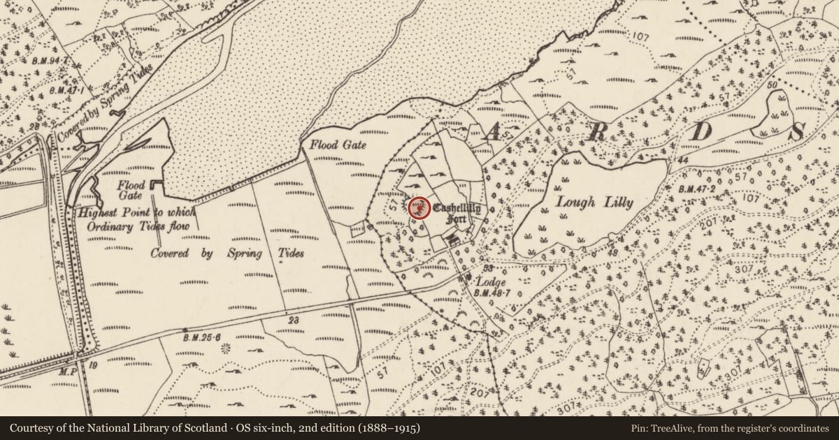 Ordnance Survey six-inch map, 2nd edition (1888–1915) covering the location of Structure, Aghalattive, County Donegal, with a pin at the register's coordinates