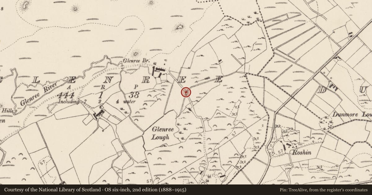 Ordnance Survey six-inch map, 2nd edition (1888–1915) covering the location of Rock art, Glenree, County Donegal, with a pin at the register's coordinates