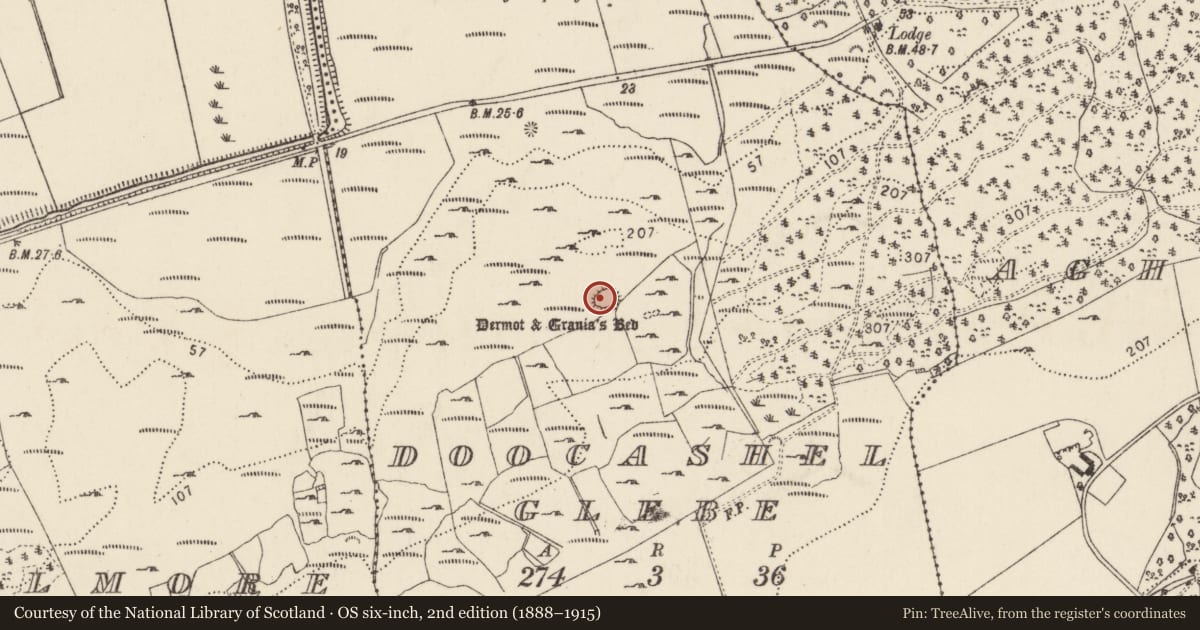 Ordnance Survey six-inch map, 2nd edition (1888–1915) covering the location of Ringfort - cashel, Doocashel Glebe, County Donegal, with a pin at the register's coordinates