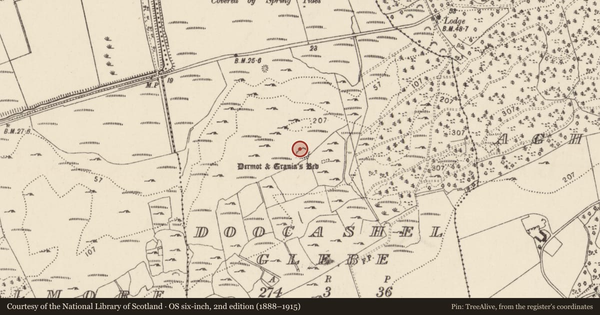 Ordnance Survey six-inch map, 2nd edition (1888–1915) covering the location of Hut site, Doocashel Glebe, County Donegal, with a pin at the register's coordinates