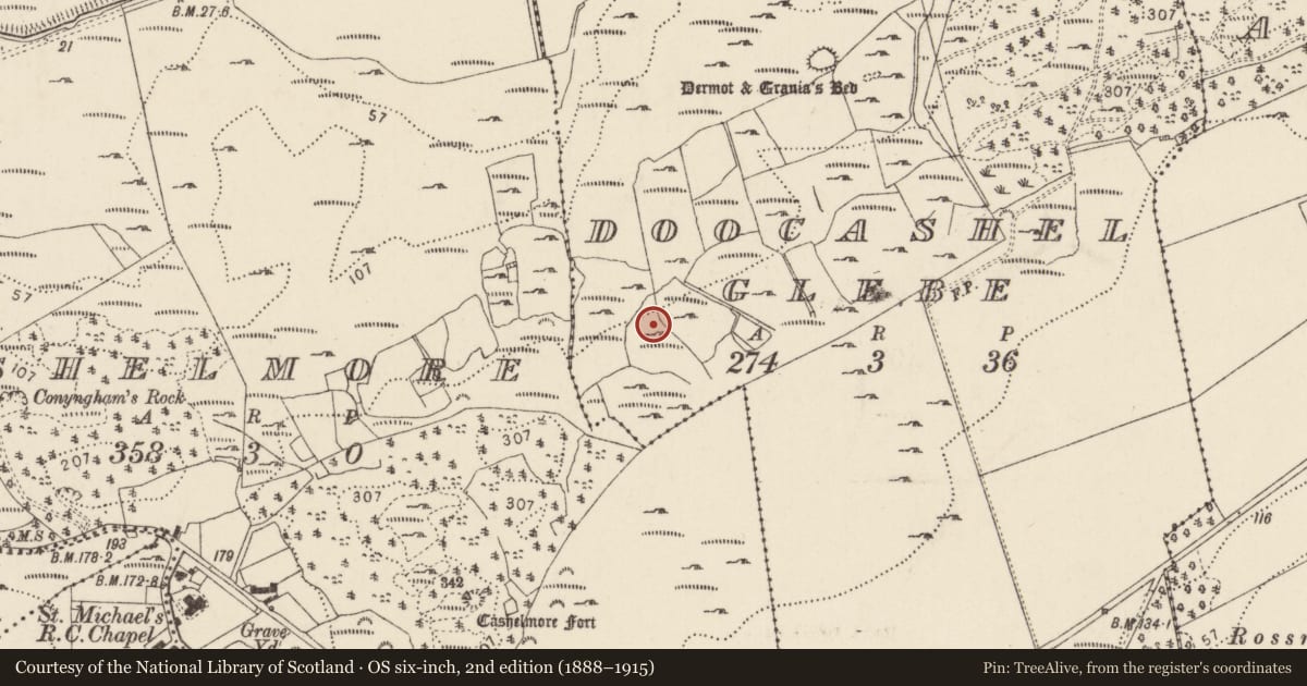 Ordnance Survey six-inch map, 2nd edition (1888–1915) covering the location of Ringfort - unclassified, Doocashel Glebe, County Donegal, with a pin at the register's coordinates
