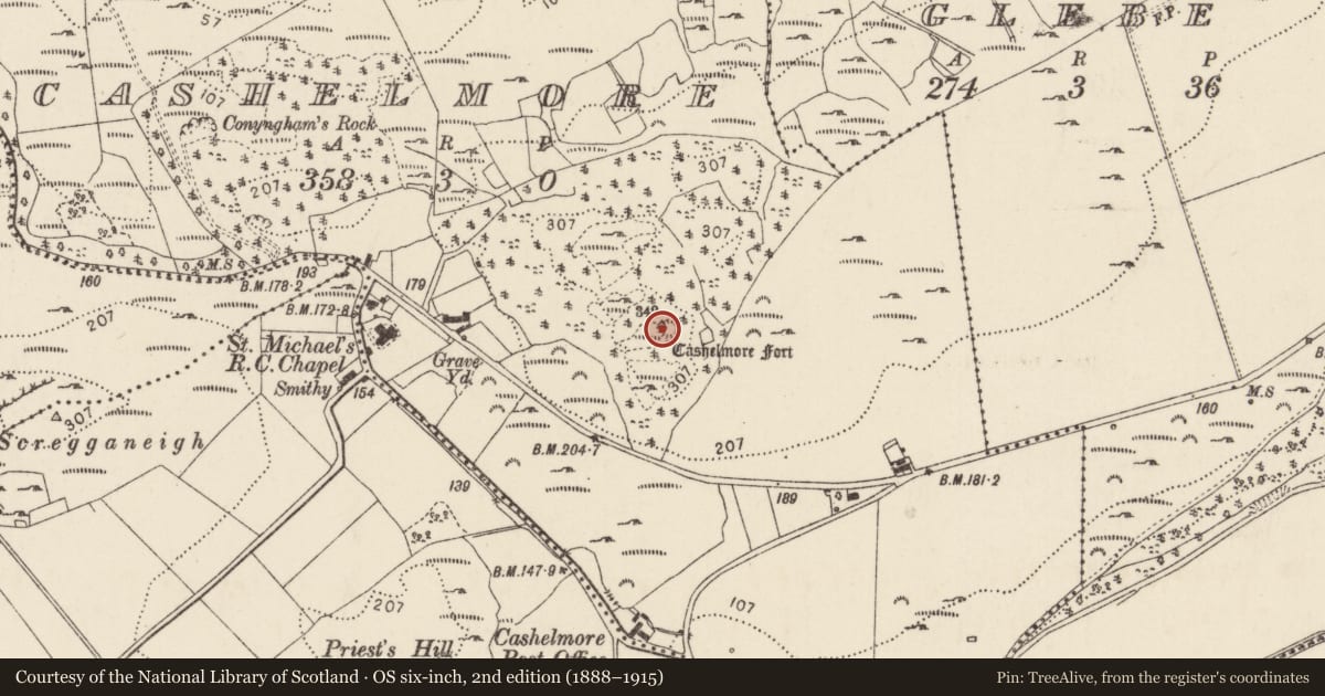 Ordnance Survey six-inch map, 2nd edition (1888–1915) covering the location of Structure, Cashelmore, County Donegal, with a pin at the register's coordinates