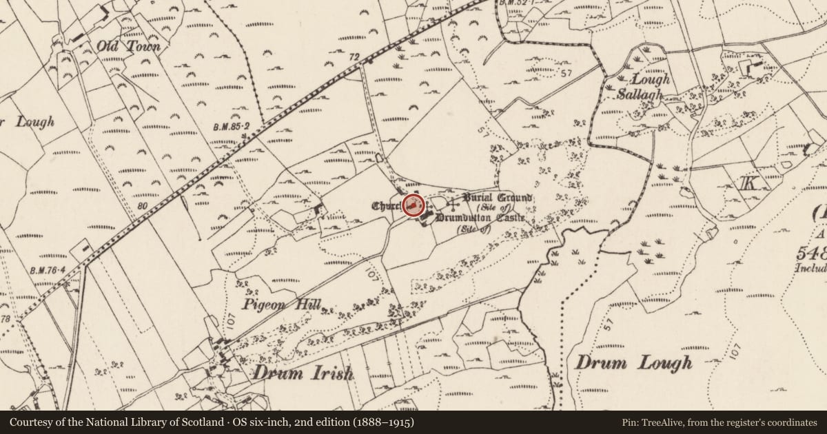 Ordnance Survey six-inch map, 2nd edition (1888–1915) covering the location of Stone sculpture, Drumdutton, County Donegal, with a pin at the register's coordinates