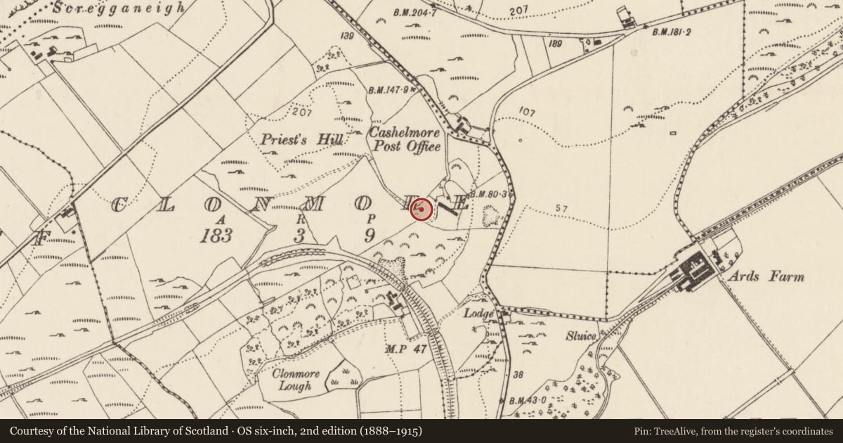 Ordnance Survey six-inch map, 2nd edition (1888–1915) covering the location of Ringfort - cashel, Clonmore, County Donegal, with a pin at the register's coordinates