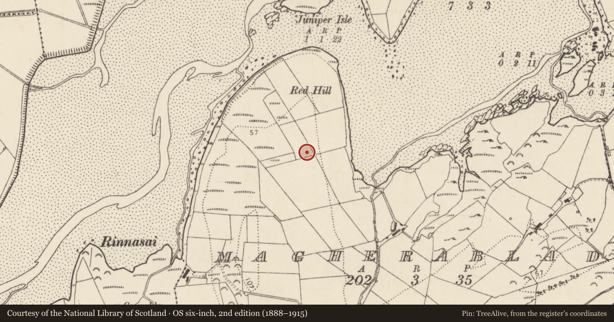 Ordnance Survey six-inch map, 2nd edition (1888–1915) covering the location of Ringfort - unclassified, Magherablad, County Donegal, with a pin at the register's coordinates