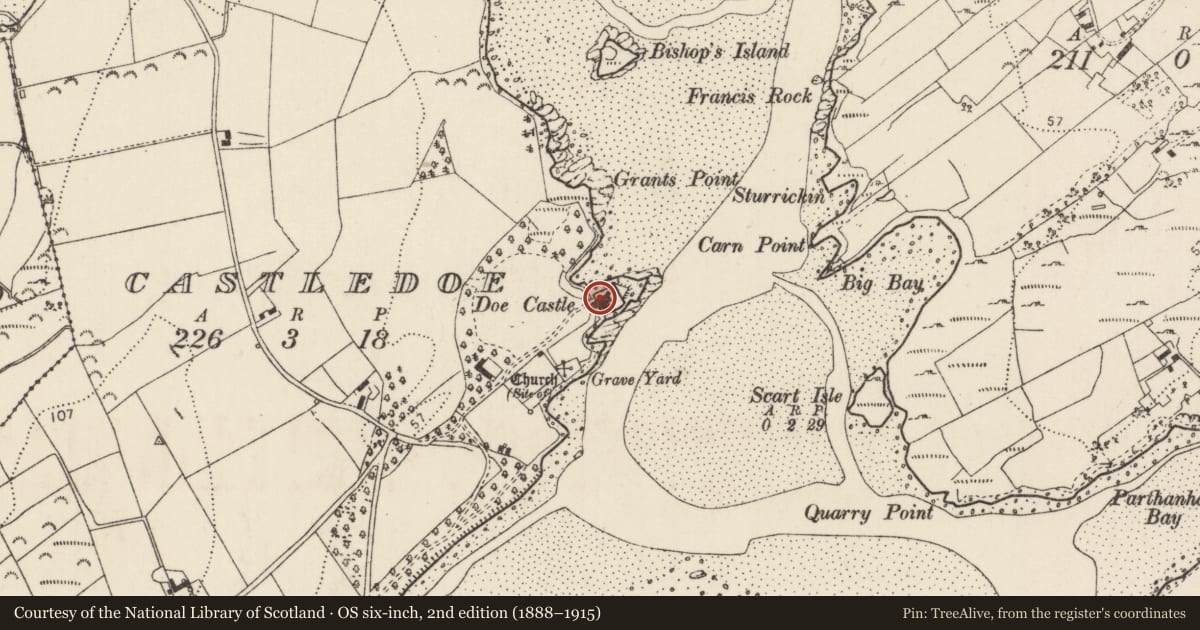 Ordnance Survey six-inch map, 2nd edition (1888–1915) covering the location of Castle - tower house, Castledoe, County Donegal, with a pin at the register's coordinates