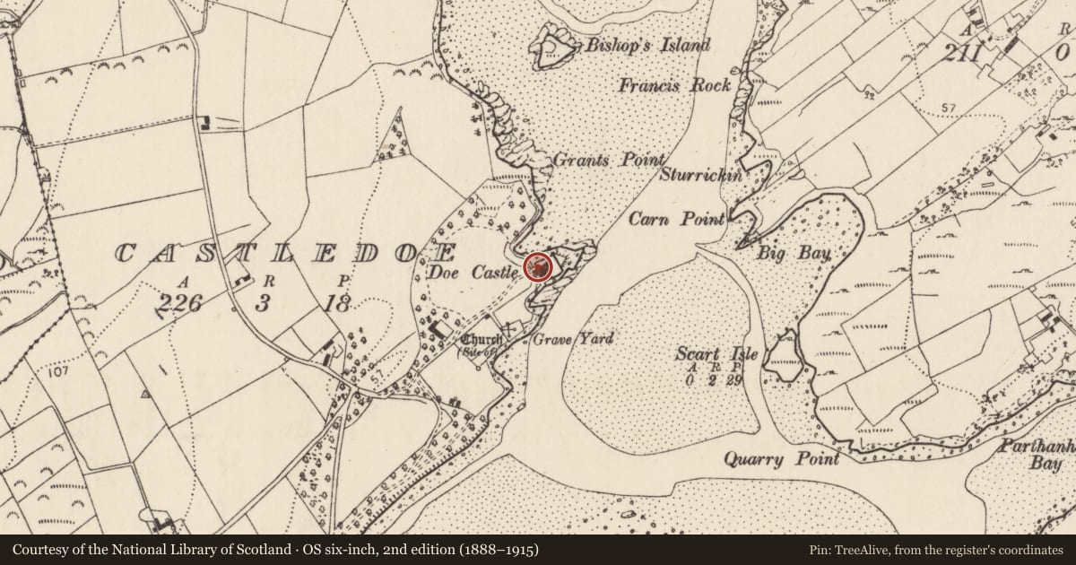 Ordnance Survey six-inch map, 2nd edition (1888–1915) covering the location of Graveslab (present location), Castledoe, County Donegal, with a pin at the register's coordinates