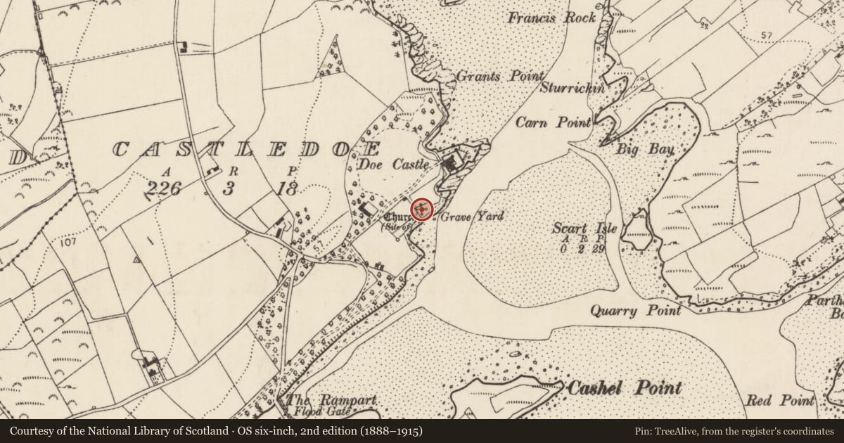 Ordnance Survey six-inch map, 2nd edition (1888–1915) covering the location of Graveslab, Castledoe, County Donegal, with a pin at the register's coordinates