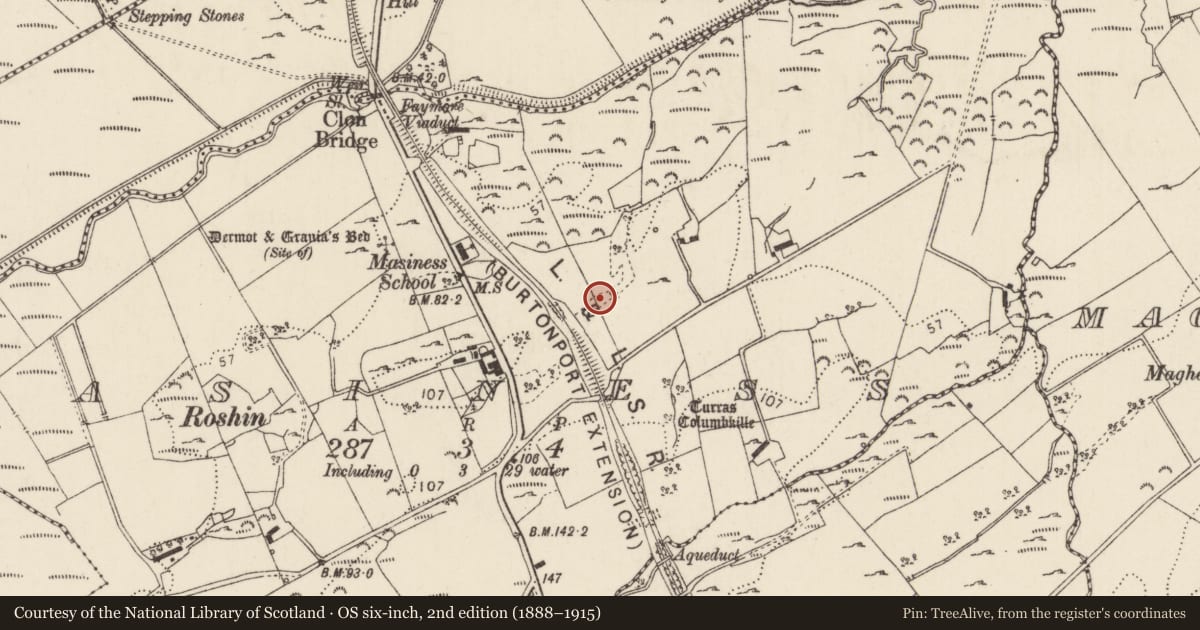 Ordnance Survey six-inch map, 2nd edition (1888–1915) covering the location of Burial ground, Masiness, County Donegal, with a pin at the register's coordinates