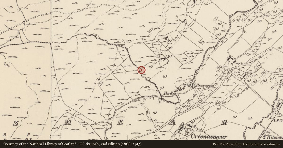 Ordnance Survey six-inch map, 2nd edition (1888–1915) covering the location of Burial ground, Faymore, County Donegal, with a pin at the register's coordinates