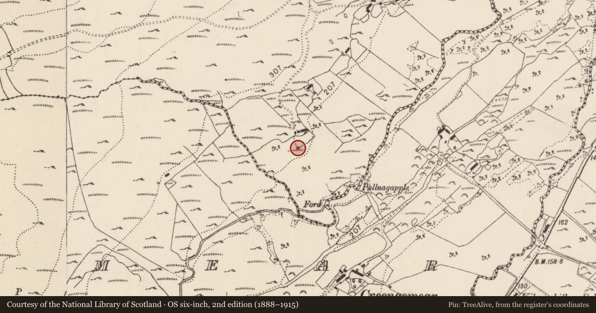 Ordnance Survey six-inch map, 2nd edition (1888–1915) covering the location of Burial mound, Faymore, County Donegal, with a pin at the register's coordinates