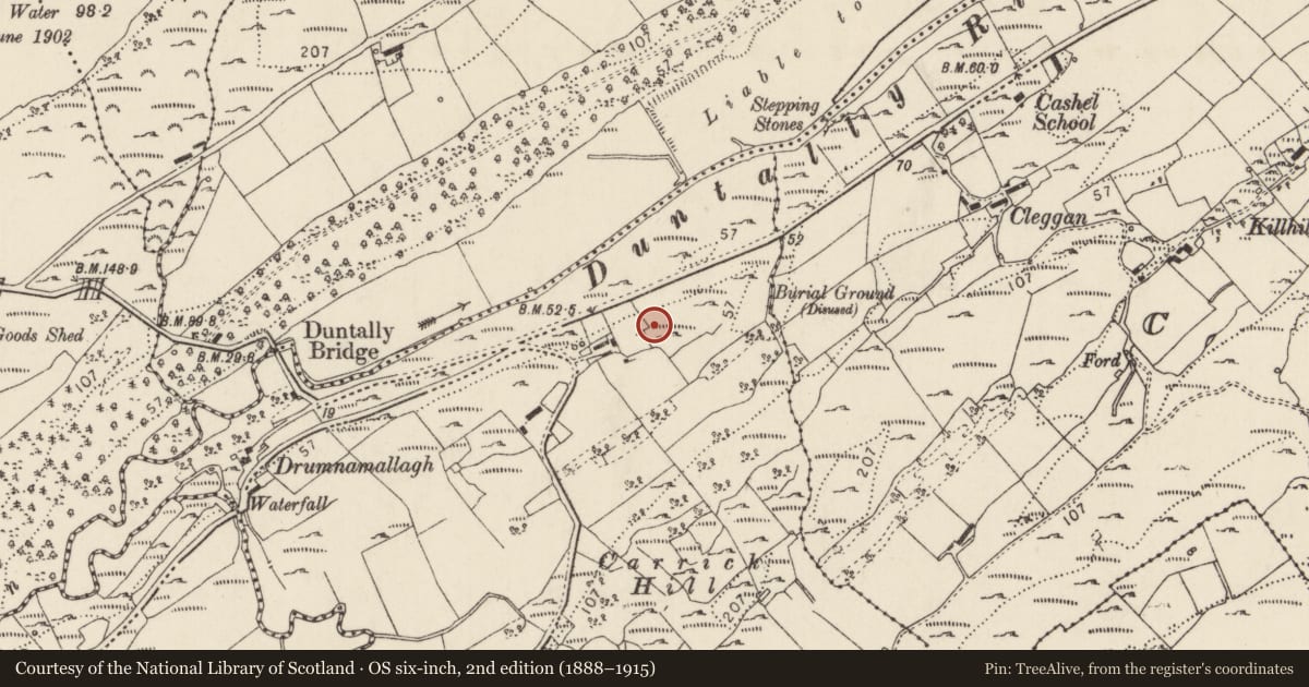 Ordnance Survey six-inch map, 2nd edition (1888–1915) covering the location of Burial ground, Killoughcarran, County Donegal, with a pin at the register's coordinates