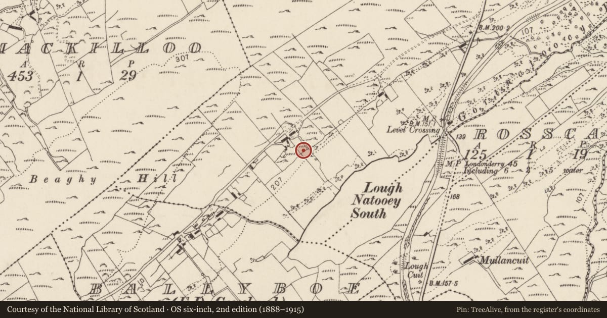 Ordnance Survey six-inch map, 2nd edition (1888–1915) covering the location of Enclosure, Creeslough, County Donegal, with a pin at the register's coordinates
