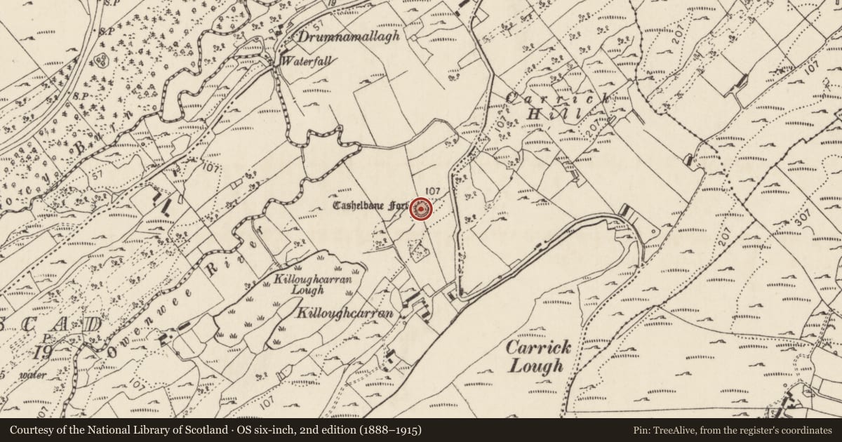 Ordnance Survey six-inch map, 2nd edition (1888–1915) covering the location of Ringfort - cashel, Killoughcarran, County Donegal, with a pin at the register's coordinates