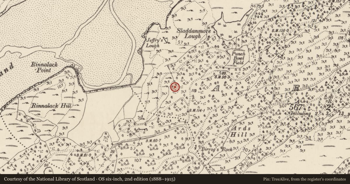 Ordnance Survey six-inch map, 2nd edition (1888–1915) covering the location of Enclosure, Ards, County Donegal, with a pin at the register's coordinates