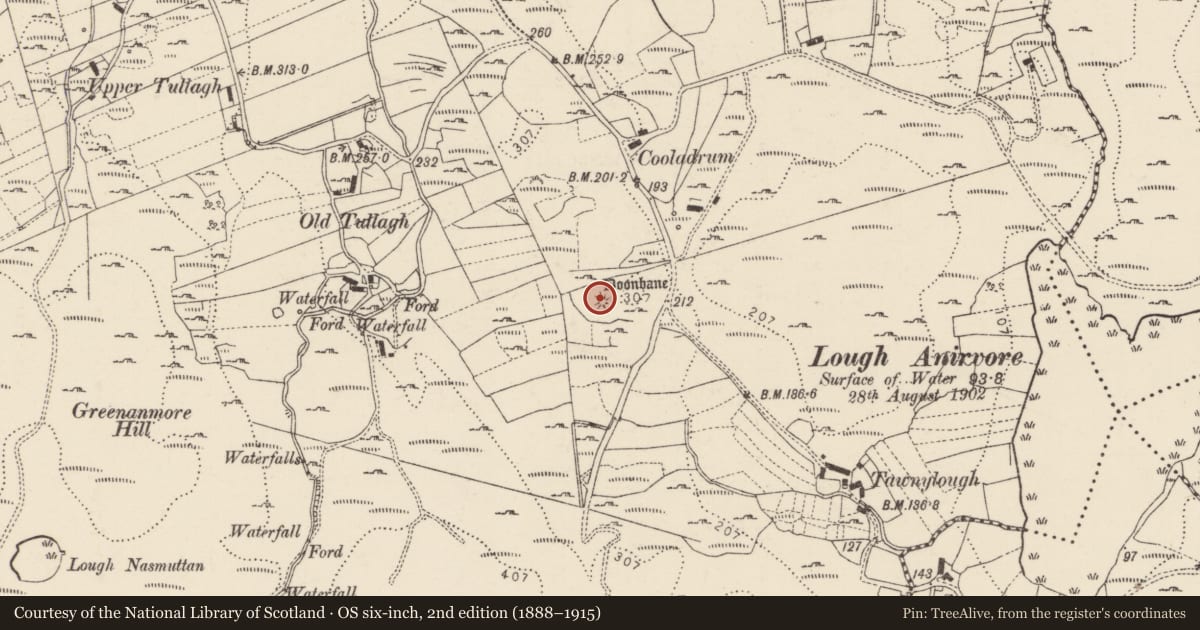 Ordnance Survey six-inch map, 2nd edition (1888–1915) covering the location of Ringfort - cashel, Tulach, County Donegal, with a pin at the register's coordinates