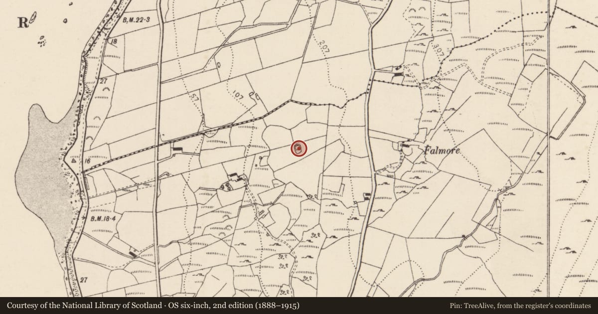 Ordnance Survey six-inch map, 2nd edition (1888–1915) covering the location of Ringfort - cashel, Gortnatraw South, County Donegal, with a pin at the register's coordinates