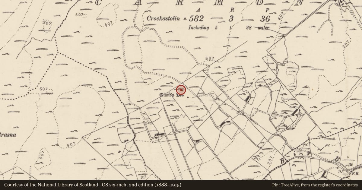 Ordnance Survey six-inch map, 2nd edition (1888–1915) covering the location of Megalithic tomb - wedge tomb, Carmoney, County Donegal, with a pin at the register's coordinates
