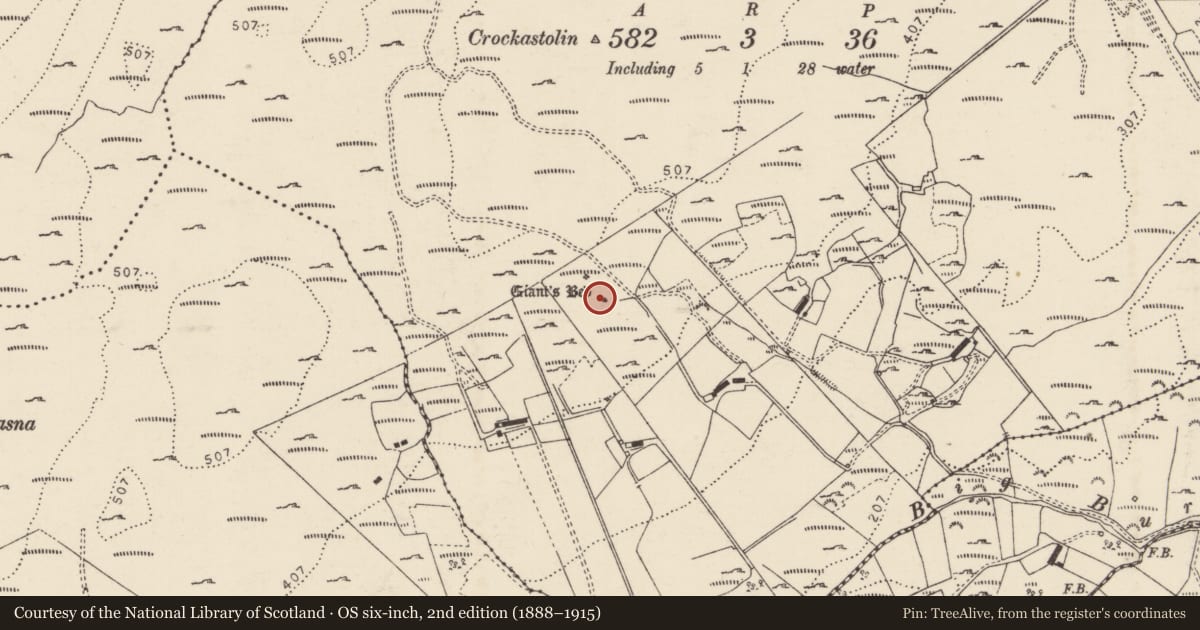 Ordnance Survey six-inch map, 2nd edition (1888–1915) covering the location of Megalithic tomb - wedge tomb, Carmoney, County Donegal, with a pin at the register's coordinates