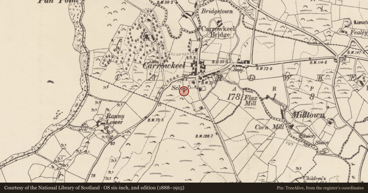 Ordnance Survey six-inch map, 2nd edition (1888–1915) covering the location of Ringfort - unclassified, Carrowkeel, County Donegal, with a pin at the register's coordinates