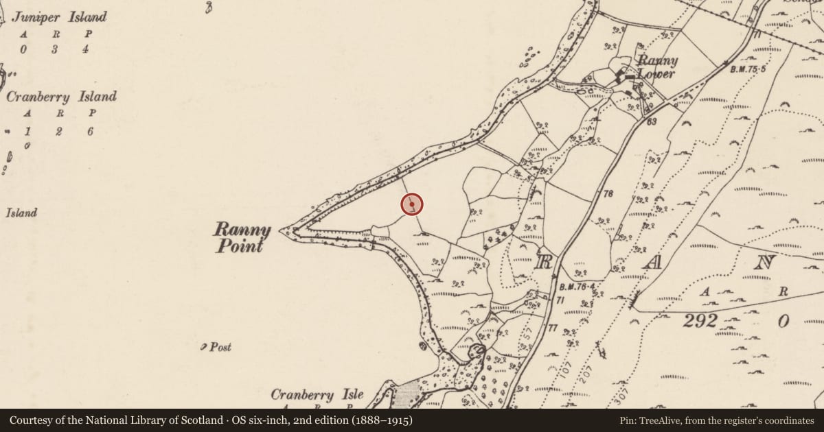 Ordnance Survey six-inch map, 2nd edition (1888–1915) covering the location of Ringfort - unclassified, Raithnigh (TC An Cheathrú Chaol), County Donegal, with a pin at the register's coordinates