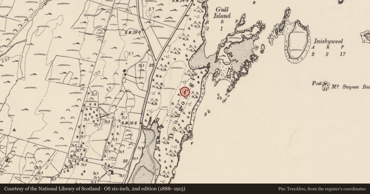 Ordnance Survey six-inch map, 2nd edition (1888–1915) covering the location of Ringfort - cashel, Woodquarter, County Donegal, with a pin at the register's coordinates