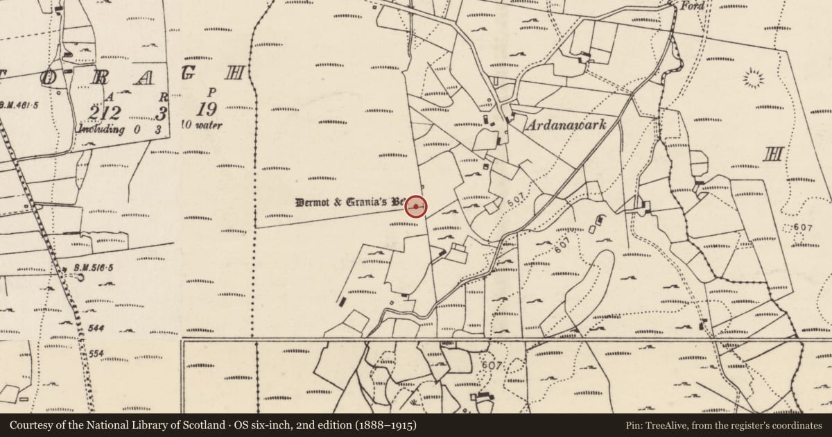 Ordnance Survey six-inch map, 2nd edition (1888–1915) covering the location of Megalithic tomb - wedge tomb, Meenformal, County Donegal, with a pin at the register's coordinates