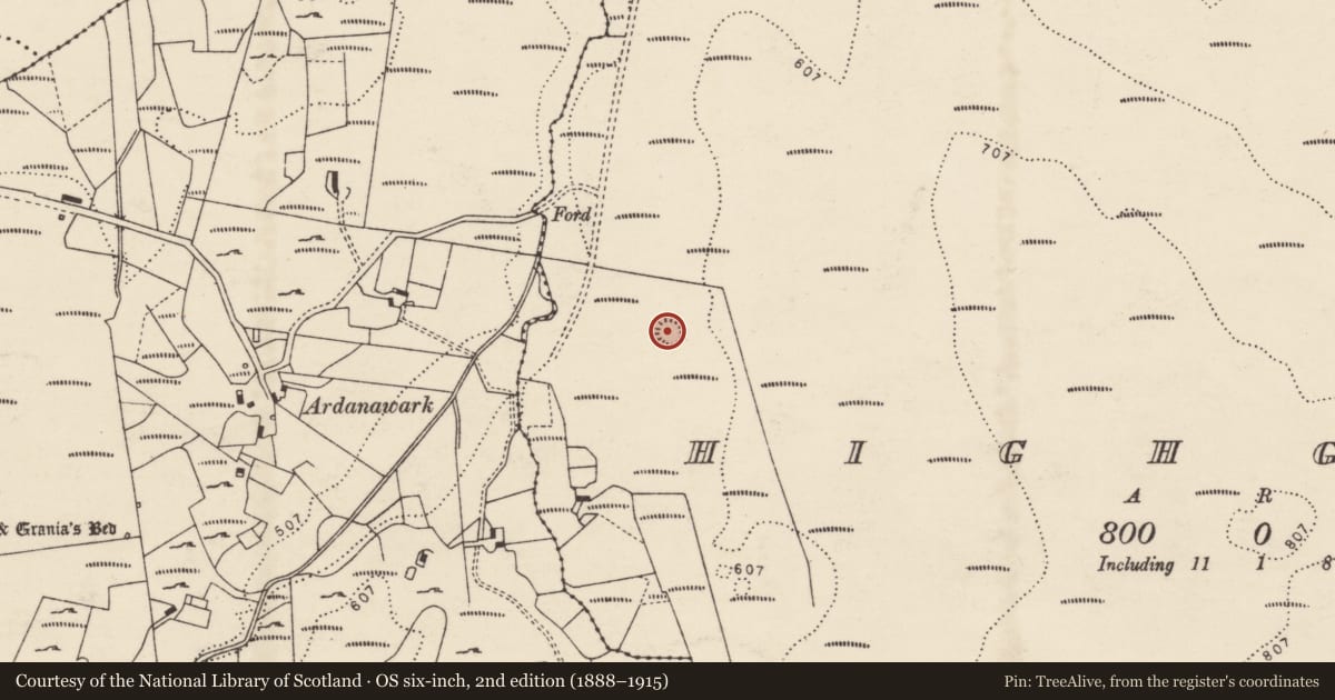 Ordnance Survey six-inch map, 2nd edition (1888–1915) covering the location of Ringfort - cashel, Highglen, County Donegal, with a pin at the register's coordinates