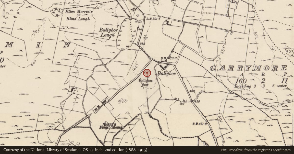 Ordnance Survey six-inch map, 2nd edition (1888–1915) covering the location of Ringfort - rath, Tirhomin, County Donegal, with a pin at the register's coordinates