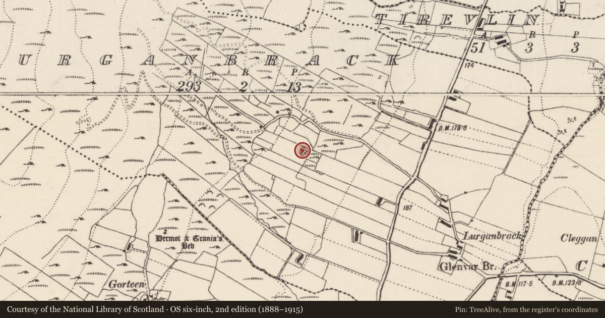 Ordnance Survey six-inch map, 2nd edition (1888–1915) covering the location of Ringfort - cashel, An Leargain Bhreac, County Donegal, with a pin at the register's coordinates