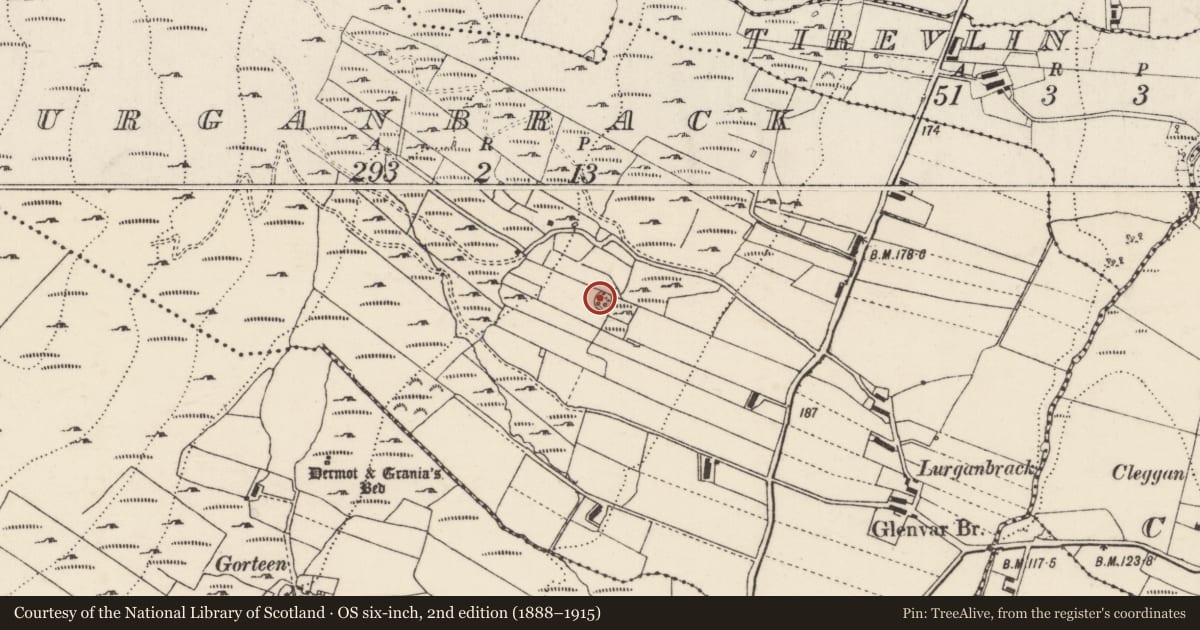 Ordnance Survey six-inch map, 2nd edition (1888–1915) covering the location of Souterrain, An Leargain Bhreac, County Donegal, with a pin at the register's coordinates