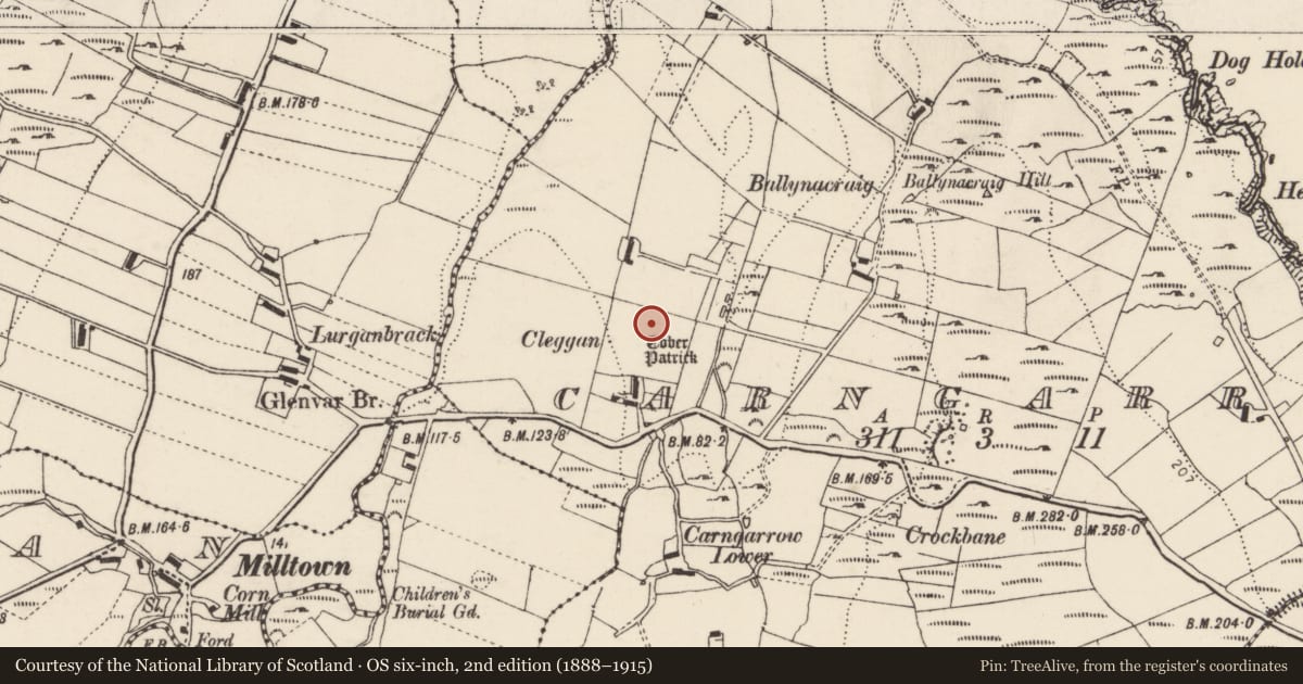 Ordnance Survey six-inch map, 2nd edition (1888–1915) covering the location of Ritual site - holy well, Carngarrow, County Donegal, with a pin at the register's coordinates