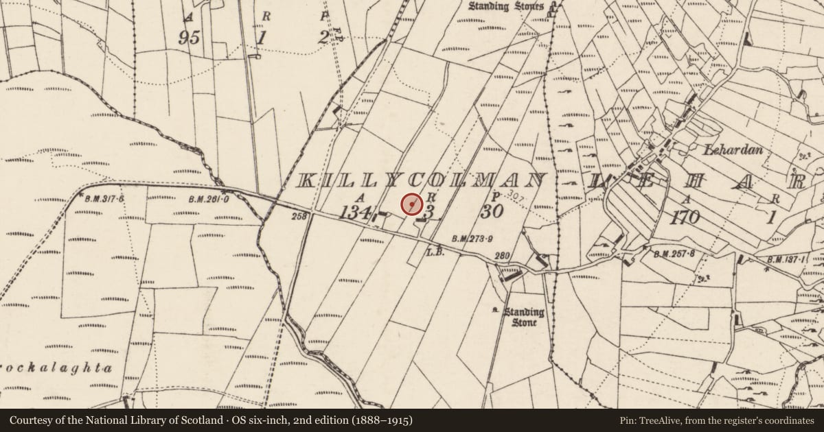 Ordnance Survey six-inch map, 2nd edition (1888–1915) covering the location of Cairn - burial cairn, Killycolman, County Donegal, with a pin at the register's coordinates