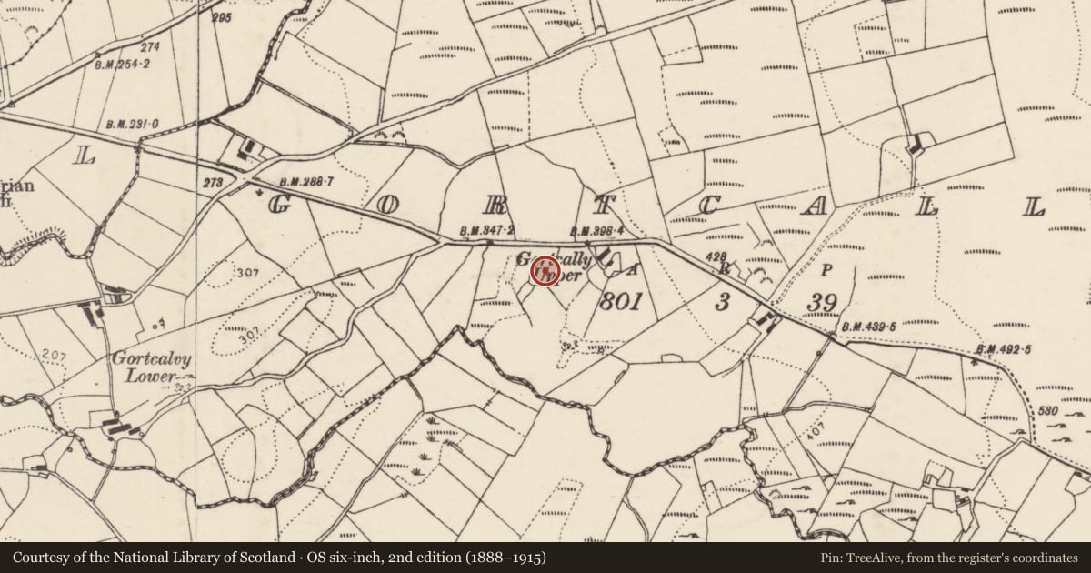 Ordnance Survey six-inch map, 2nd edition (1888–1915) covering the location of Ringfort - unclassified, Gortcally, County Donegal, with a pin at the register's coordinates
