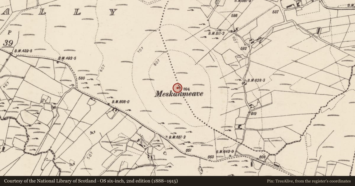 Ordnance Survey six-inch map, 2nd edition (1888–1915) covering the location of Cairn - unclassified, Gortcally, Meentaghconlan, County Donegal, with a pin at the register's coordinates