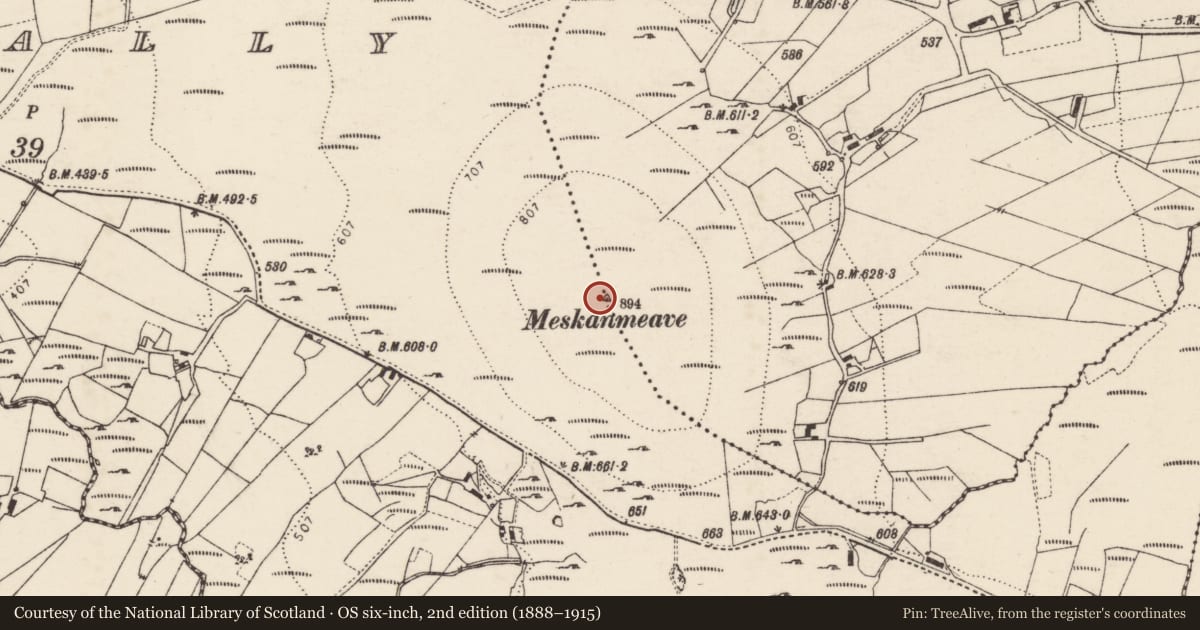 Ordnance Survey six-inch map, 2nd edition (1888–1915) covering the location of Cairn - unclassified, Gortcally, Meentaghconlan, County Donegal, with a pin at the register's coordinates