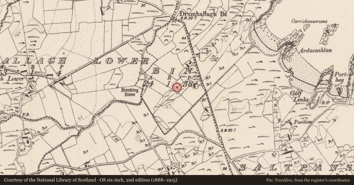 Ordnance Survey six-inch map, 2nd edition (1888–1915) covering the location of Megalithic tomb - portal tomb, Bin, County Donegal, with a pin at the register's coordinates