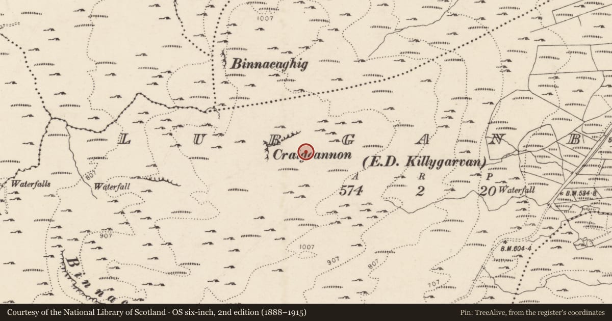 Ordnance Survey six-inch map, 2nd edition (1888–1915) covering the location of Cairn - unclassified, Lurganboy, County Donegal, with a pin at the register's coordinates