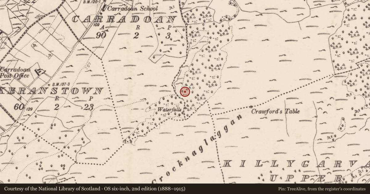 Ordnance Survey six-inch map, 2nd edition (1888–1915) covering the location of Ringfort - cashel, Clondallan, County Donegal, with a pin at the register's coordinates