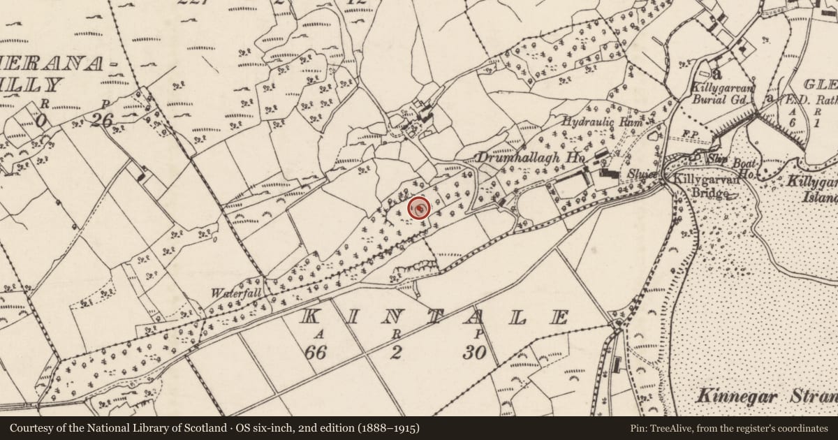 Ordnance Survey six-inch map, 2nd edition (1888–1915) covering the location of Ringfort - cashel, Gortflugh, County Donegal, with a pin at the register's coordinates