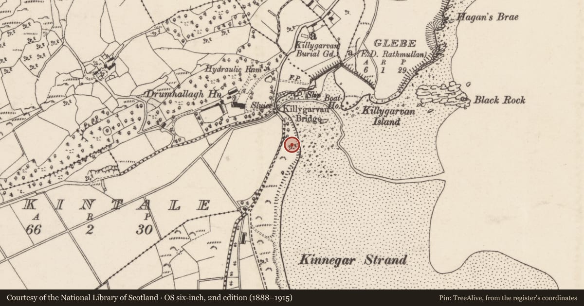 Ordnance Survey six-inch map, 2nd edition (1888–1915) covering the location of Cairn - burial cairn, Kinnegar, County Donegal, with a pin at the register's coordinates