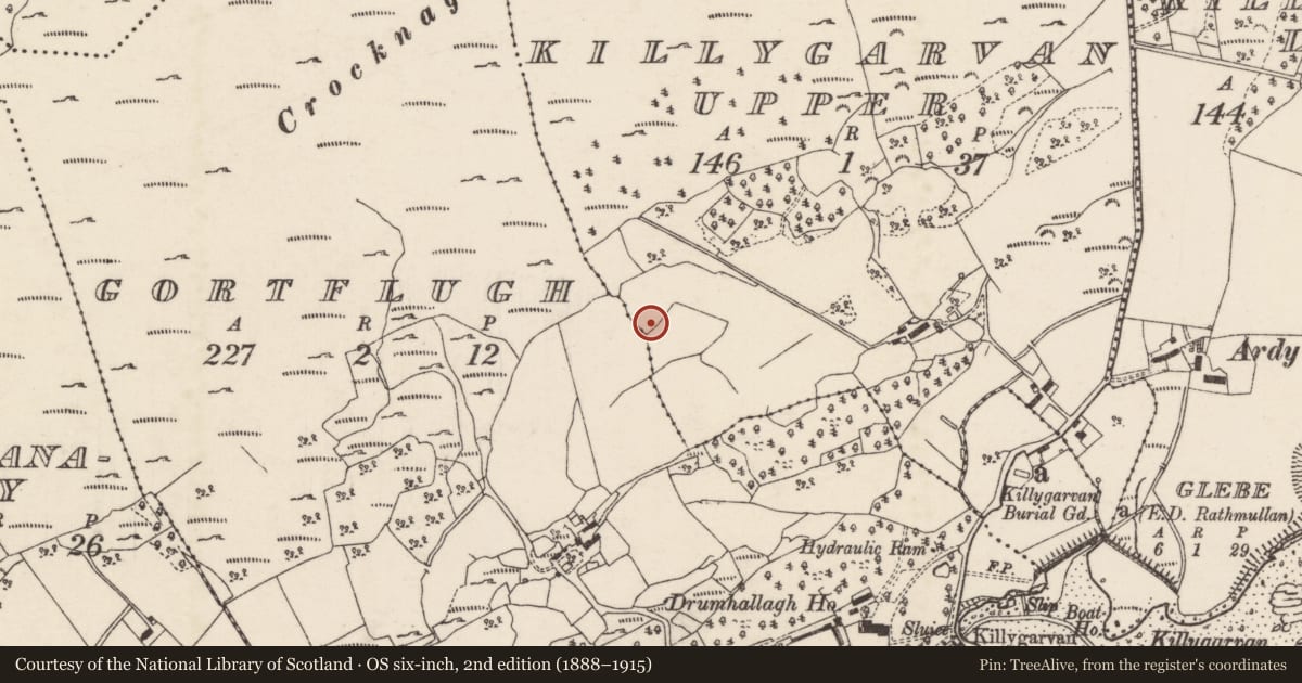 Ordnance Survey six-inch map, 2nd edition (1888–1915) covering the location of Souterrain, Killygarvan Upper, County Donegal, with a pin at the register's coordinates