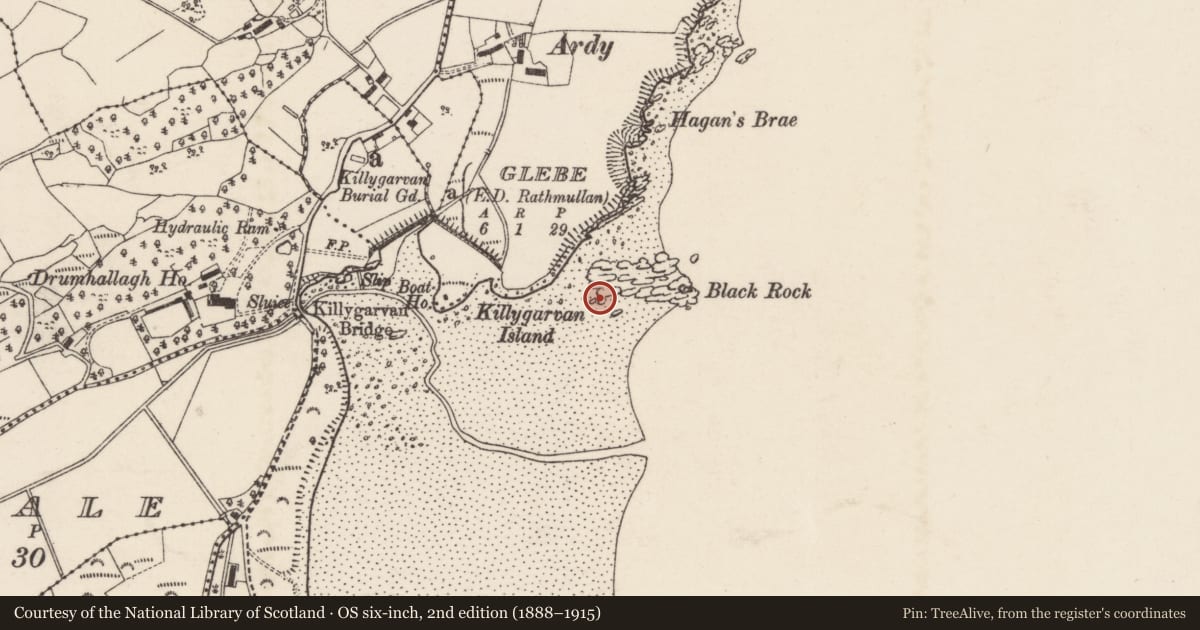 Ordnance Survey six-inch map, 2nd edition (1888–1915) covering the location of Cist, Killygarvan Lower, County Donegal, with a pin at the register's coordinates