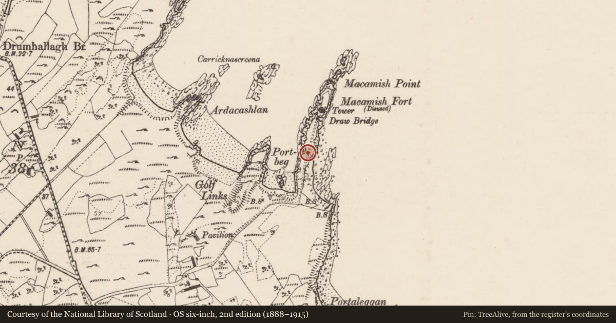 Ordnance Survey six-inch map, 2nd edition (1888–1915) covering the location of Promontory fort - coastal, Saltpans, County Donegal, with a pin at the register's coordinates