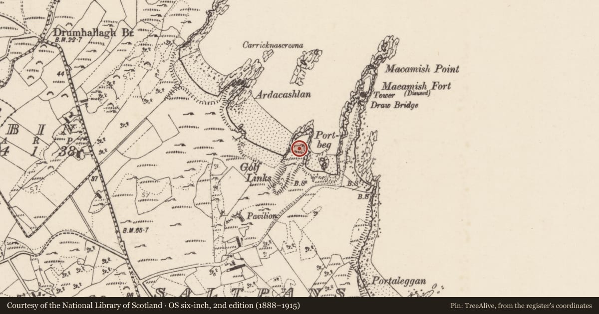 Ordnance Survey six-inch map, 2nd edition (1888–1915) covering the location of Promontory fort - coastal, Saltpans, County Donegal, with a pin at the register's coordinates
