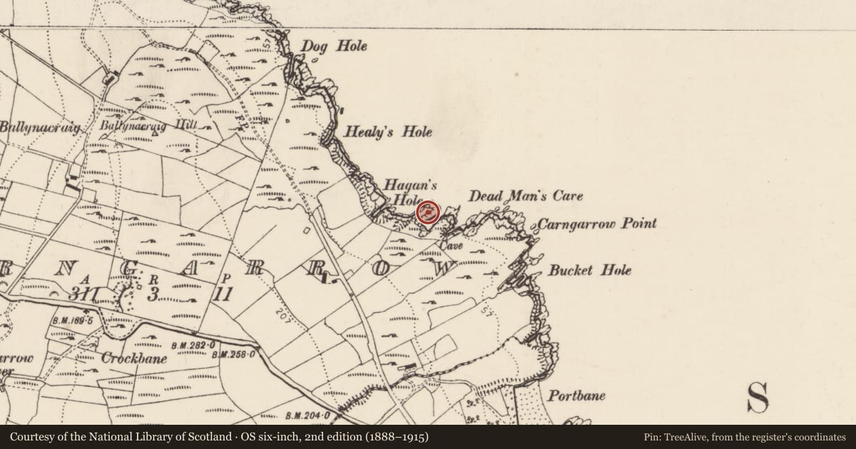 Ordnance Survey six-inch map, 2nd edition (1888–1915) covering the location of Promontory fort - coastal, Carngarrow, County Donegal, with a pin at the register's coordinates