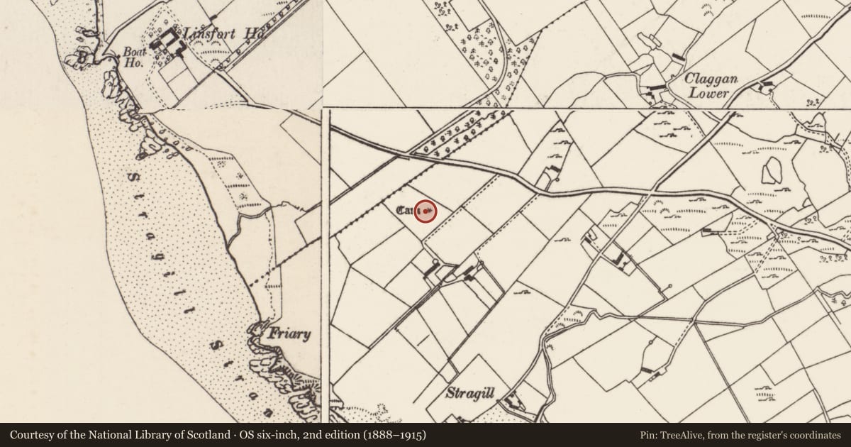 Ordnance Survey six-inch map, 2nd edition (1888–1915) covering the location of Megalithic tomb - court tomb, Ballynarry, County Donegal, with a pin at the register's coordinates